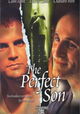 The Perfect Son