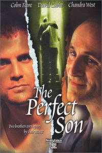 The Perfect Son (2000)