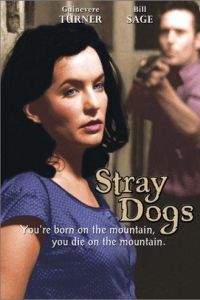 Stray Dogs