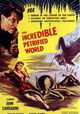 The Incredible Petrified World