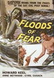 Floods of Fear