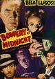 Bowery at Midnight
