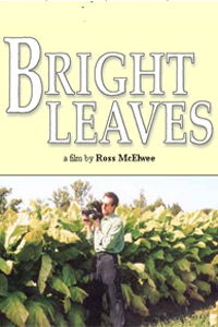 Bright Leaves