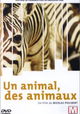Un animal, des animaux