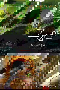 Invisible Light (2003)