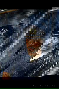 Das blaue Wunder (2004)