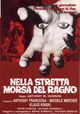 Nella stretta morsa del ragno