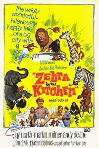 Zebra in the Kitchen
