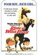 Ride a Wild Pony