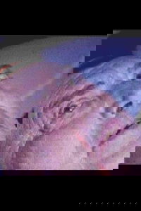 Oed Yr Addewid (2002)