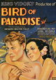 Bird of Paradise