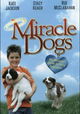 Miracle Dogs