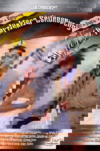 Ein fast perfekter Seitensprung (1996)