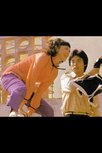 Zhuang dao zheng (1980)