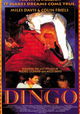 Dingo