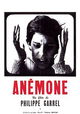 Anémone