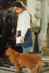 Lisa und die Säbelzahntiger (1995)
