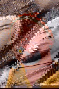 Het paradijs (1998)