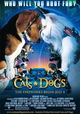 Cats & Dogs