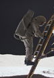 Moonshot
