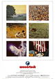 Woodstock