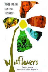 Wildflowers