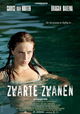 Zwarte zwanen