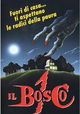 Il bosco 1
