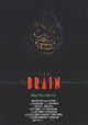 The Brain
