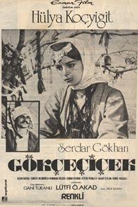 Gökçe çiçek (1972)