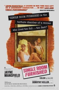 Single Room Furnished (1968)