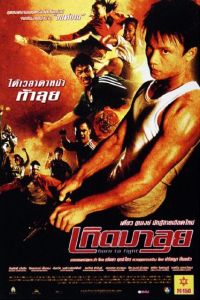 Born to Fight (2004)