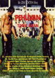 Pehlivan