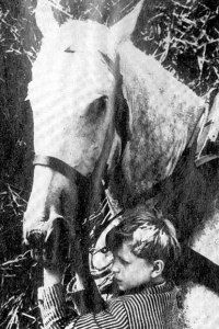 At' zije Republika (1965)