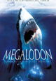 Megalodon