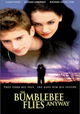 The Bumblebee Flies Anyway