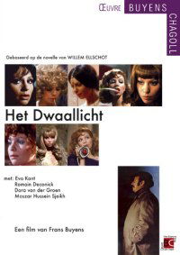Het dwaallicht