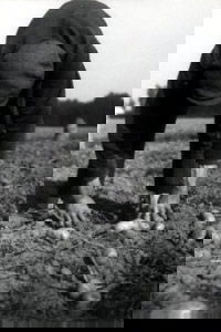 Boerensymfonie (1944)