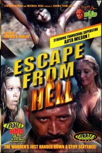 Femmine infernali (1980)
