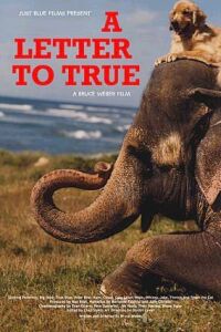 A Letter to True (2004)