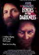 Echoes in the Darkness