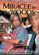 Miracle in the Woods