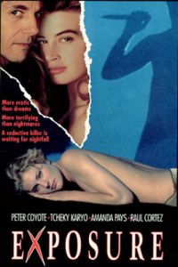 A Grande Arte (1991)