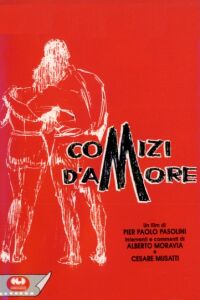 Comizi d'amore (1965)