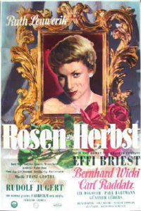 Rosen im Herbst