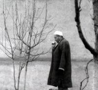 Parvaz-e zanbur (1998)