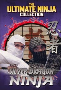 Silver Dragon Ninja