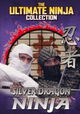 Silver Dragon Ninja