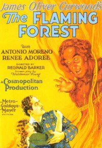 The Flaming Forest