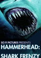 Hammerhead